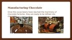 Prezentācija 'Chocolate Production', 11.