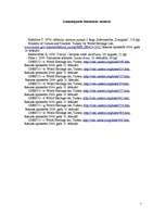 Konspekts 'Turcijas UNESCO pasaules kultūras un dabas mantojuma sarakstā iekļautie kultūras', 5.