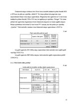 Biznesa plāns 'Amatniecības un dizaina stratēģija', 13.