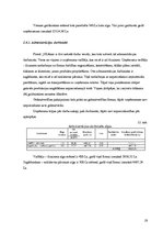 Biznesa plāns 'Amatniecības un dizaina stratēģija', 19.