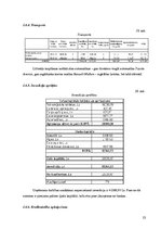 Biznesa plāns 'Amatniecības un dizaina stratēģija', 23.