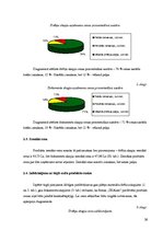 Biznesa plāns 'Amatniecības un dizaina stratēģija', 26.