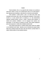 Referāts 'Amata apraksta sagatavošana', 3.