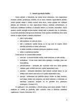 Referāts 'Amata apraksta sagatavošana', 4.