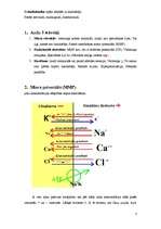 Konspekts 'Fizioloģija', 3.