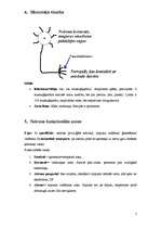 Konspekts 'Fizioloģija', 5.