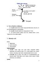 Konspekts 'Fizioloģija', 6.