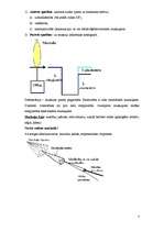 Konspekts 'Fizioloģija', 7.