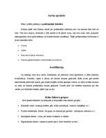 Konspekts 'Riska novērtēšana futbolista profesijai', 3.