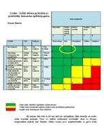 Konspekts 'Riska novērtēšana futbolista profesijai', 8.