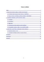 Diplomdarbs 'Ar brīvības atņemšanu saistītie piespiedu līdzekļi', 2.