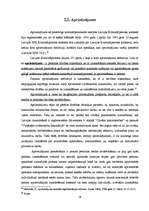 Diplomdarbs 'Ar brīvības atņemšanu saistītie piespiedu līdzekļi', 26.