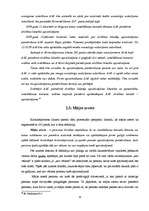 Diplomdarbs 'Ar brīvības atņemšanu saistītie piespiedu līdzekļi', 35.