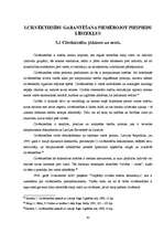 Diplomdarbs 'Ar brīvības atņemšanu saistītie piespiedu līdzekļi', 43.