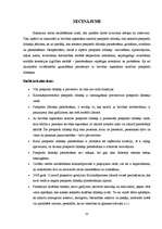 Diplomdarbs 'Ar brīvības atņemšanu saistītie piespiedu līdzekļi', 55.