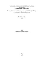 Eseja 'Bilingvālais mācību modelis', 1.