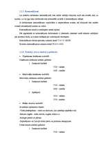 Prakses atskaite 'Uzņēmuma grāmatvedības organizācija', 32.