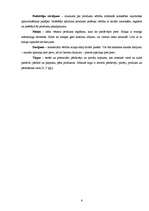 Referāts 'Viesnīcas ', 6.