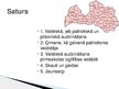 Prezentācija 'Valstiskā audzināšana pirmsskolas izglītības iestādē, tās būtība un raksturojums', 3.
