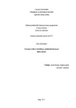 Diplomdarbs 'Vizuālo tēlu sistēmas apdrošināšanas reklāmās', 1.