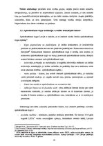 Diplomdarbs 'Vizuālo tēlu sistēmas apdrošināšanas reklāmās', 10.