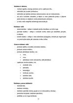 Diplomdarbs 'Vizuālo tēlu sistēmas apdrošināšanas reklāmās', 12.