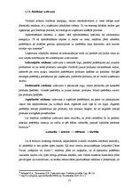 Diplomdarbs 'Vizuālo tēlu sistēmas apdrošināšanas reklāmās', 13.