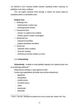 Diplomdarbs 'Vizuālo tēlu sistēmas apdrošināšanas reklāmās', 14.