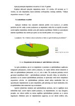 Diplomdarbs 'Vizuālo tēlu sistēmas apdrošināšanas reklāmās', 36.