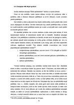 Diplomdarbs 'Vizuālo tēlu sistēmas apdrošināšanas reklāmās', 42.