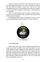 Diplomdarbs 'Vizuālo tēlu sistēmas apdrošināšanas reklāmās', 50.