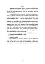 Referāts 'Pasaules nesaprotamākie likumi', 3.