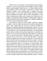 Eseja 'Reklāmas veidošanas paņēmieni patērētāju uzrunāšanai', 2.