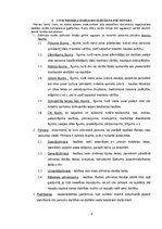 Prakses atskaite 'Notāra birojs', 6.