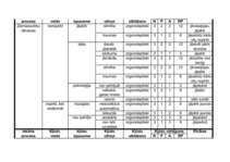 Konspekts 'Kļūdu iespējamo cēloņu, seku un bīstamības analīze', 2.