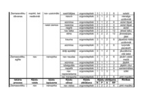 Konspekts 'Kļūdu iespējamo cēloņu, seku un bīstamības analīze', 3.