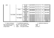 Konspekts 'Kļūdu iespējamo cēloņu, seku un bīstamības analīze', 4.