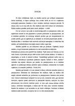 Referāts 'Reklāmas ietekme uz patērētāja izvēli', 3.