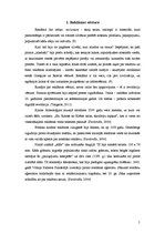 Referāts 'Reklāmas ietekme uz patērētāja izvēli', 5.