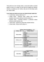 Referāts 'Reklāmas ietekme uz patērētāja izvēli', 10.