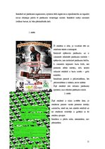 Referāts 'Reklāmas ietekme uz patērētāja izvēli', 15.