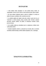 Referāts 'Reklāmas ietekme uz patērētāja izvēli', 24.