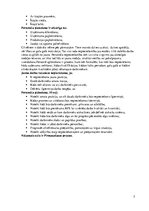 Referāts 'Personāla plānošanas uzdevumi', 5.