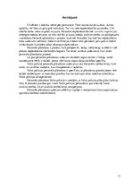 Referāts 'Personāla plānošanas uzdevumi', 13.