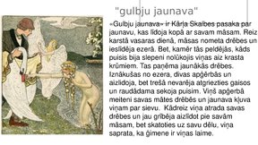 Prezentācija 'Skaistais literatūrā', 4.