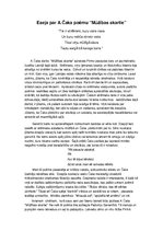 Eseja 'Aleksandrs Čaks "Mūžības skartie"', 1.