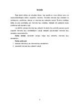 Referāts 'Interneta lapu standarti', 3.