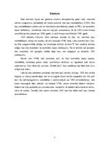 Referāts 'Interneta lapu standarti', 5.