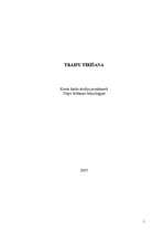 Referāts 'Traipu tīrīšana', 1.