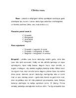 Konspekts 'Cilvēku rases', 1.